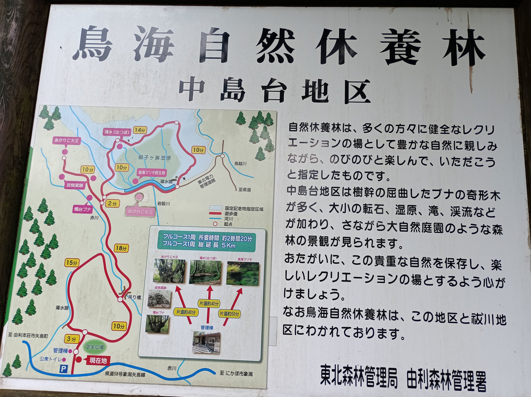 Nakajimadai Shishigahana Marsh-仁贺保市必去景点