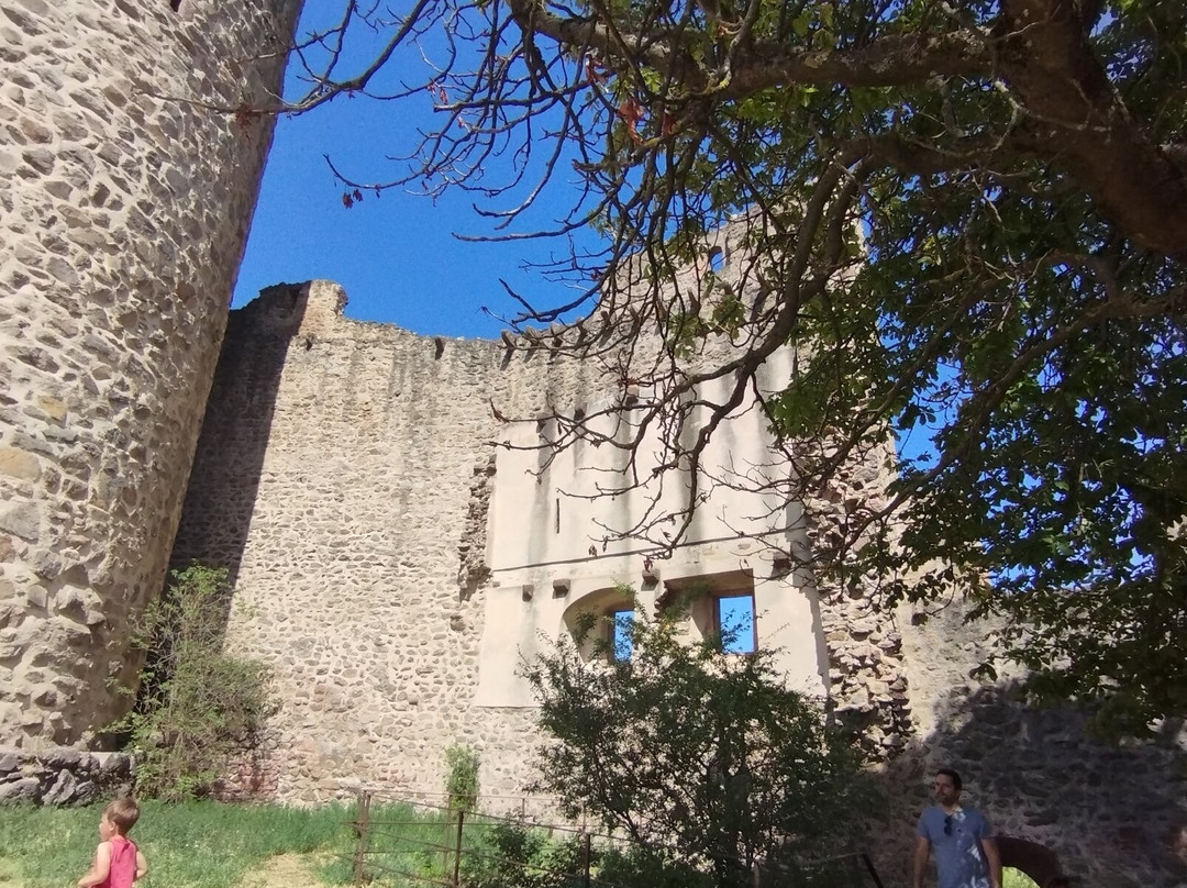 Château de Kaysersberg-凯瑟斯堡必去景点