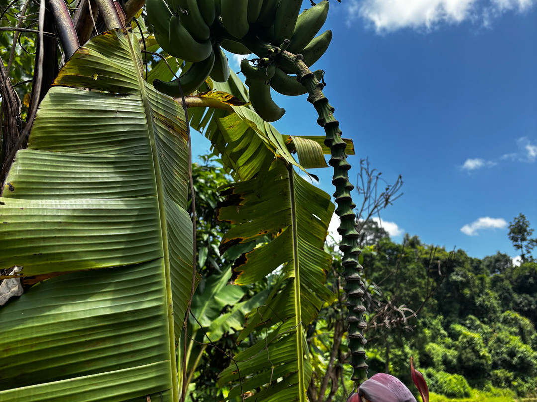 Highland Eco Tours-昆嵩必去景点