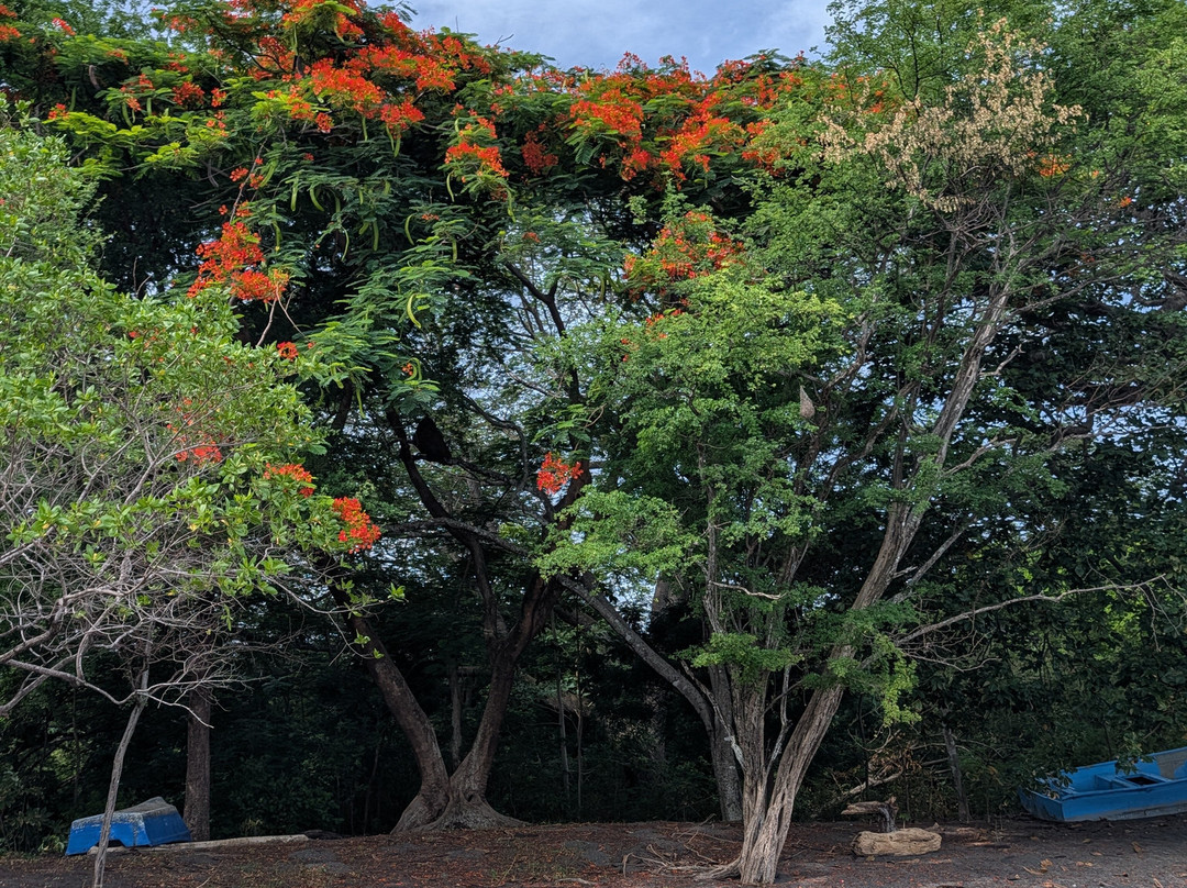 The Monkey Farm-Playa Ocotal必去景点