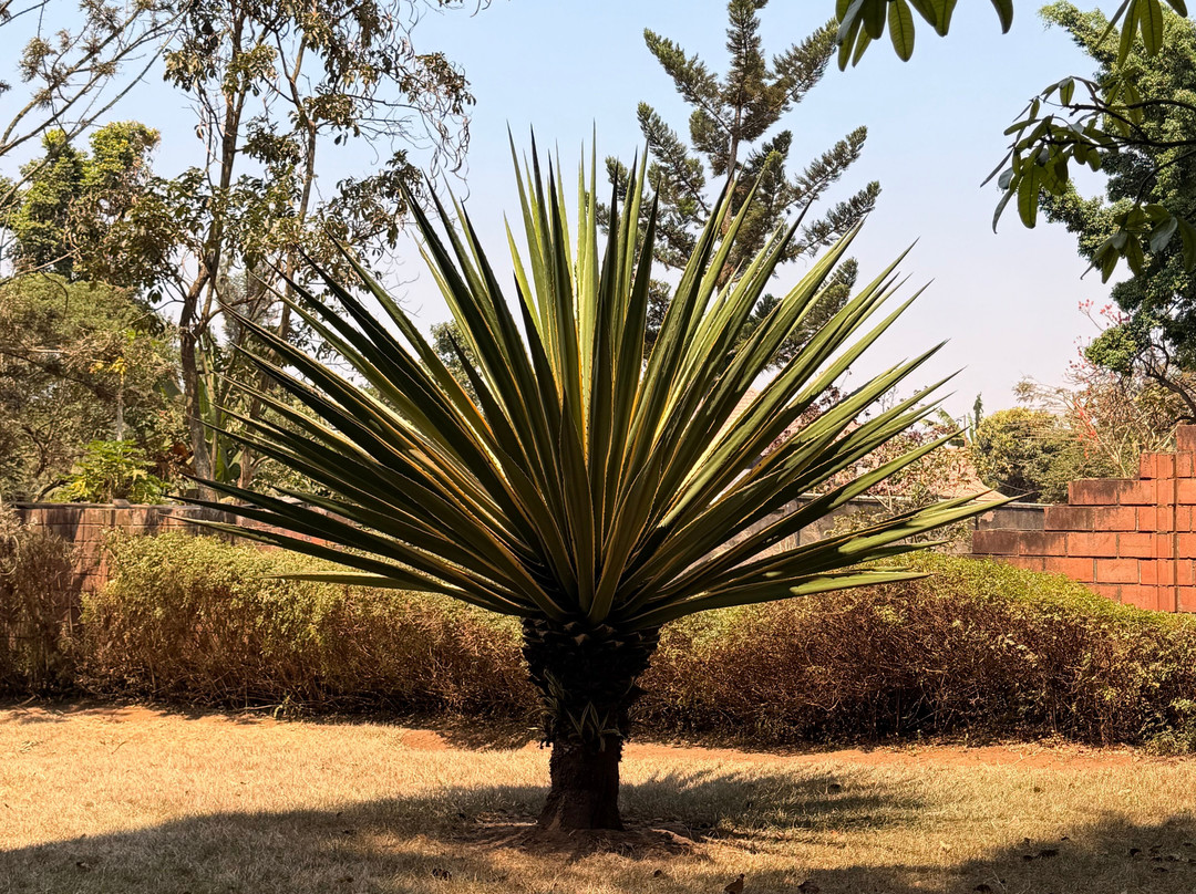 Rwanda Art Museum-吉佳利必去景点