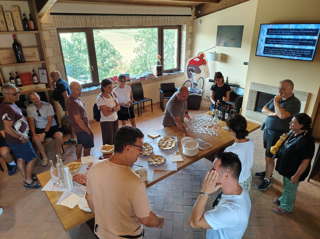 Cantina SassodiSole-蒙塔尔奇诺必去景点
