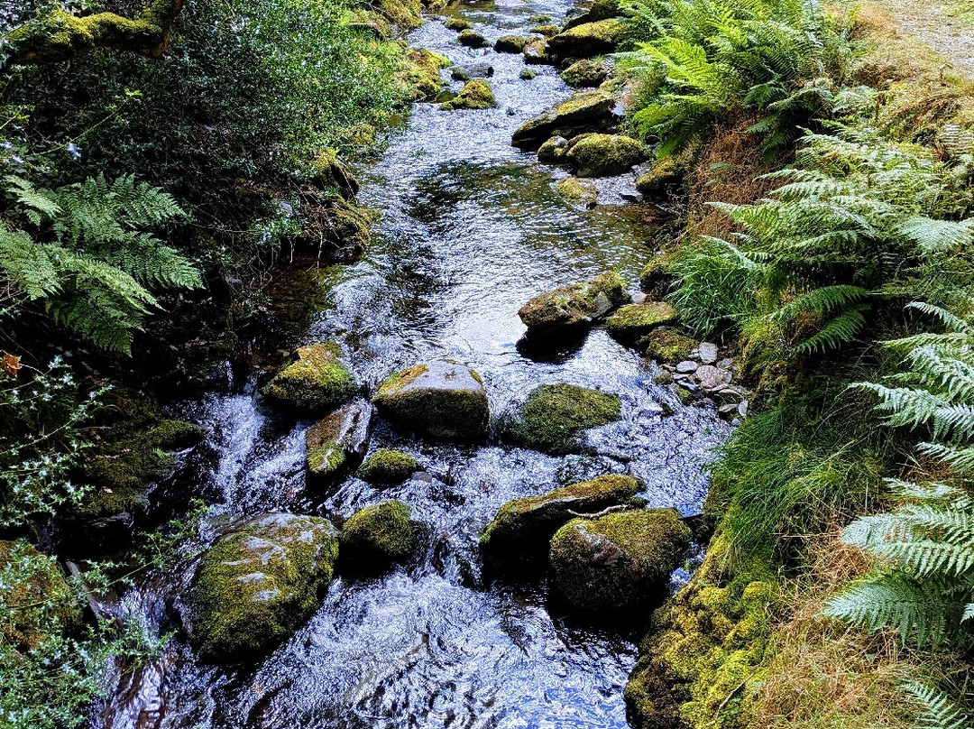 Dolgoch Falls-雪墩国家公园必去景点