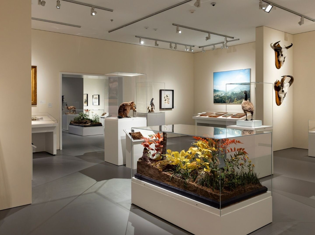 Berkshire Museum-皮茨菲尔德必去景点