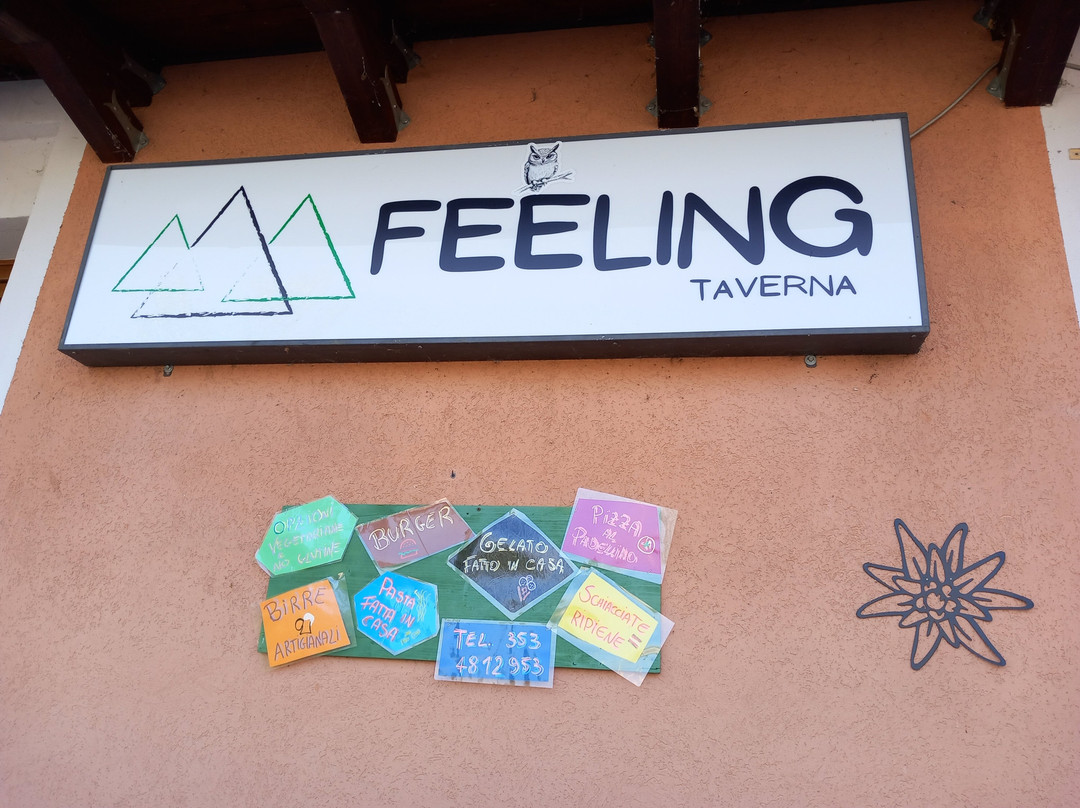 Feeling Taverna