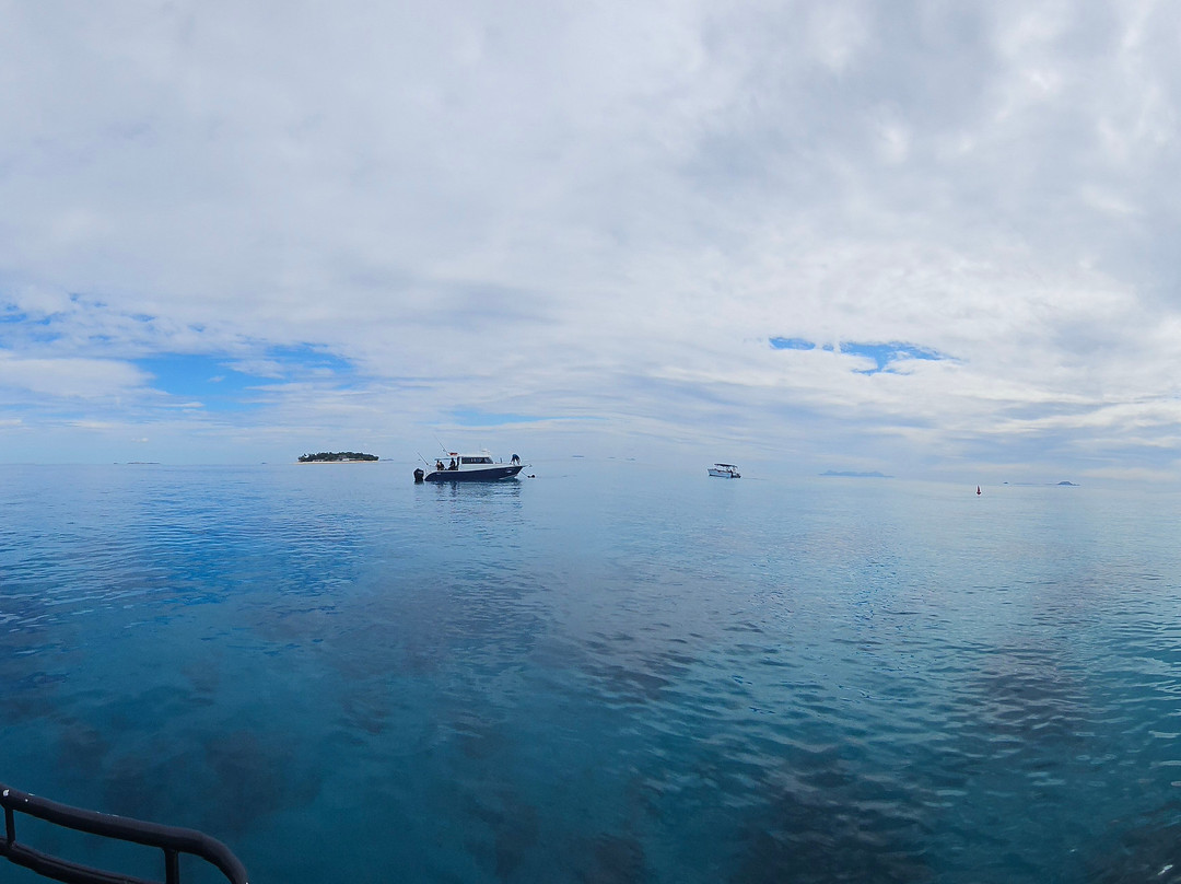Nautilus Adventure Tours-纳迪市必去景点