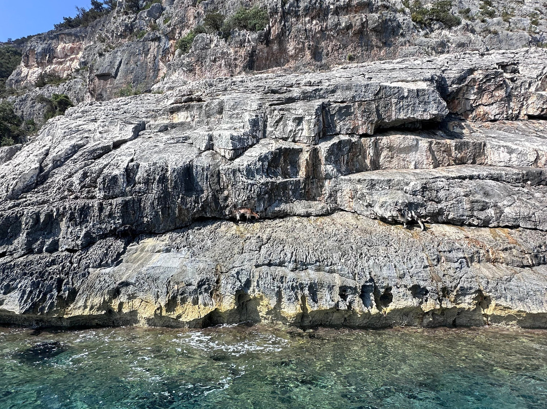 Sardinia Boat Eastperience-La Caletta必去景点
