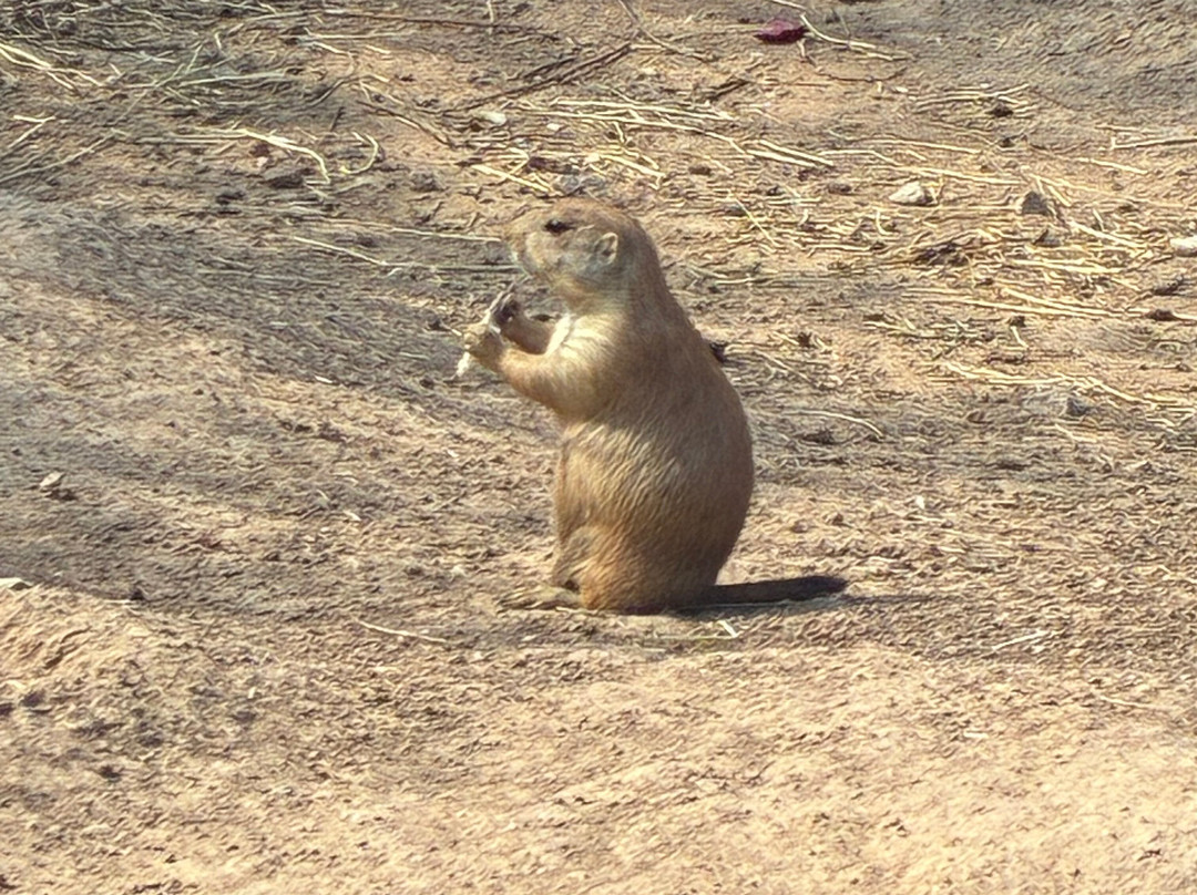 Parc Animalier De Sainte-croix-Rhodes必去景点