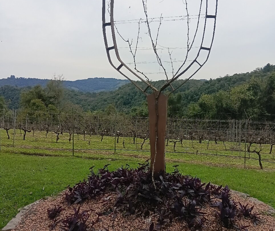 Dal Pizzol Vinhos Únicos-本图贡萨尔维斯必去景点