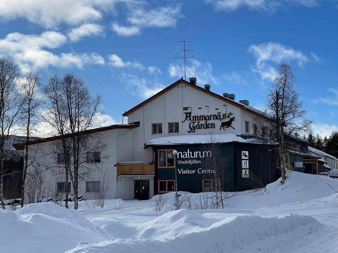 Tarnaby酒店住宿-Ammarnasgarden Fjallhotell och Vandrarhem