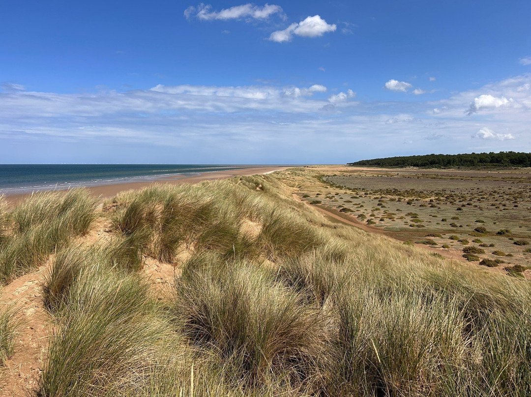 Holkham Bay-Wells-next-the-Sea必去景点