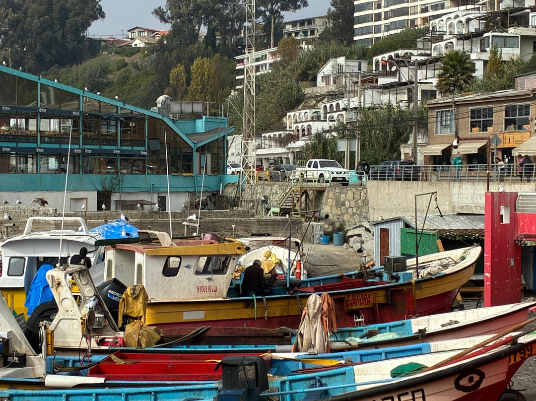 Caleta Higuerillas-比尼亚德尔马必去景点