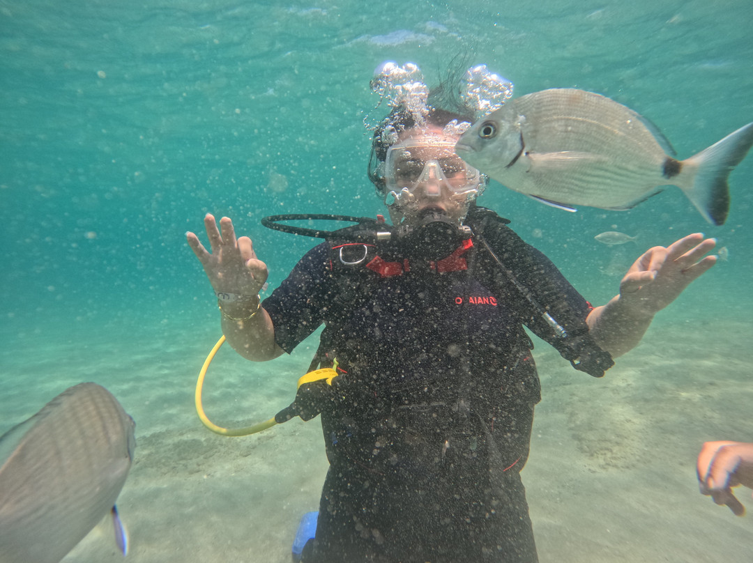 Didim Diving-迪迪姆必去景点