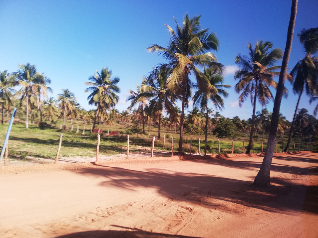 Praia do Gunga-Roteiro必去景点