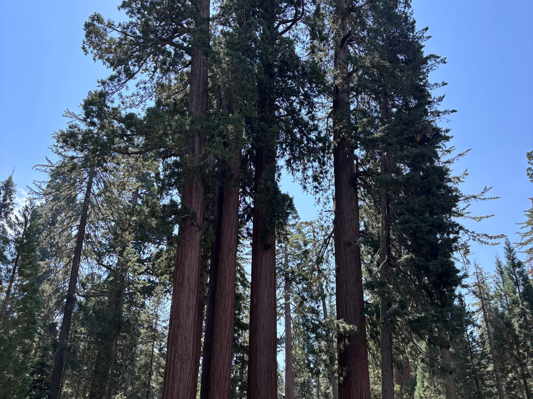 Kings Canyon-红杉&国王峡谷国家公园必去景点