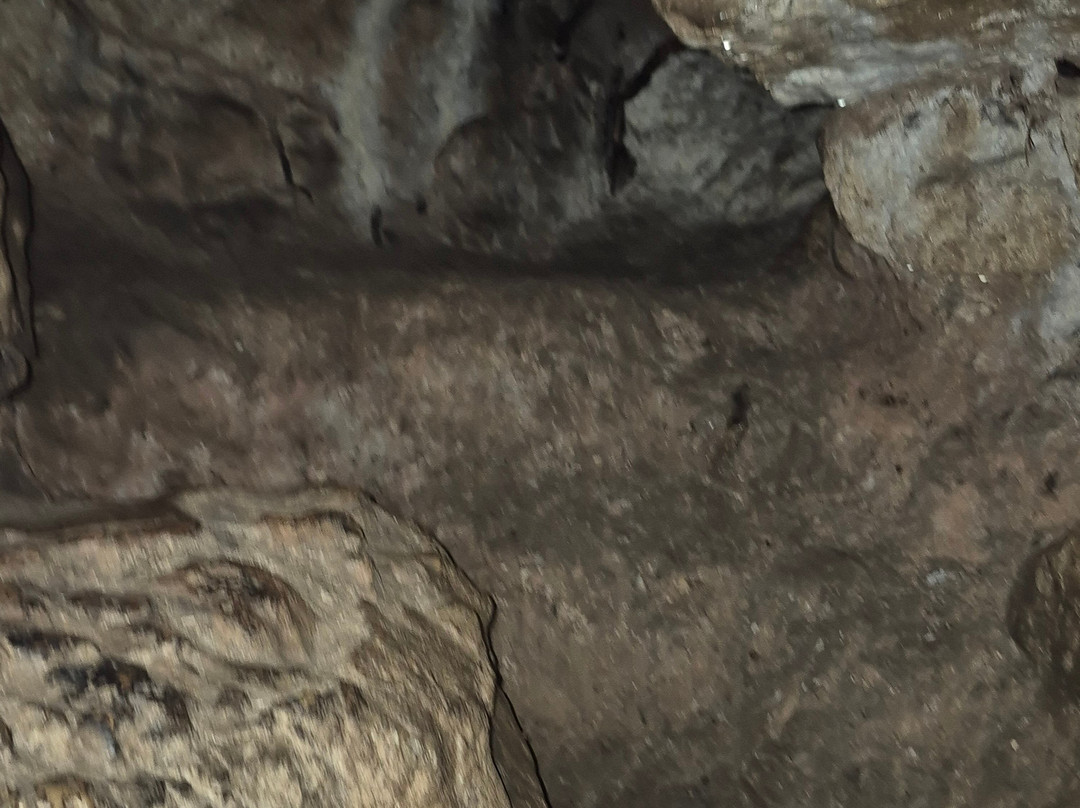 King Arthur's Cave-Symonds Yat必去景点