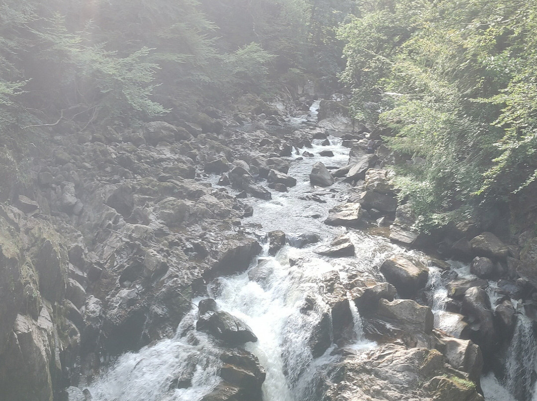 Bruce's Scotland Tours-格拉斯哥必去景点