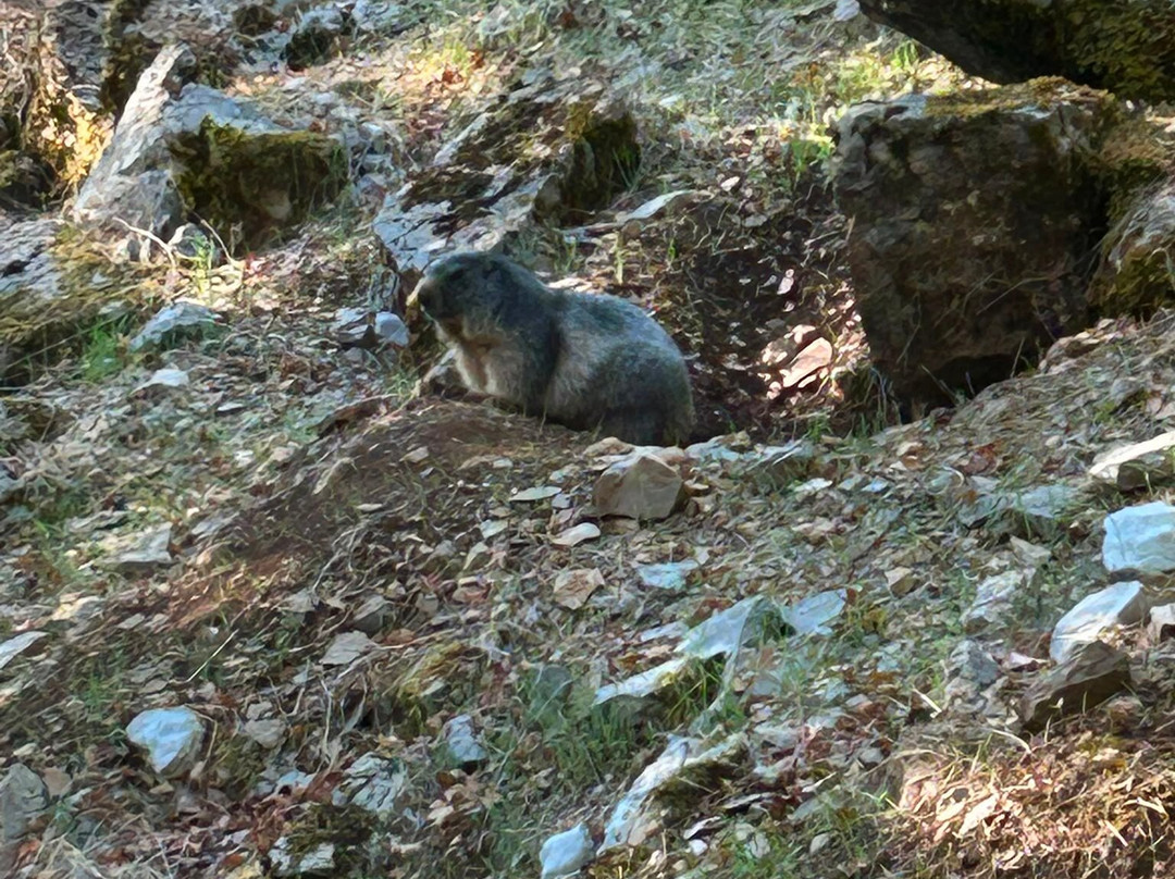 Parc Animalier De Gramat-Gramat必去景点