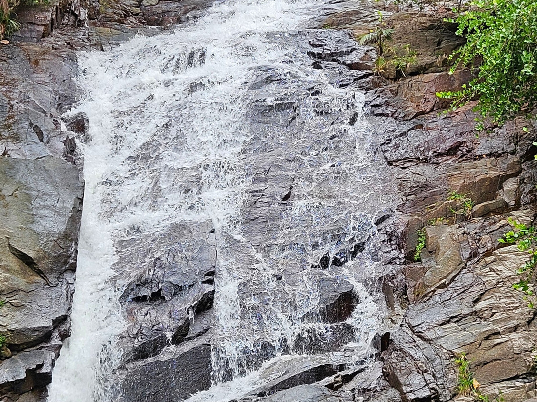 Sauzier Waterfall-Port Glaud必去景点