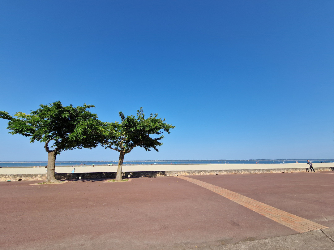 PereireBeache