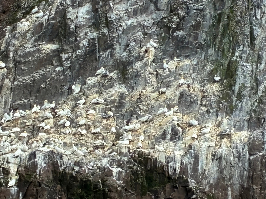 Scottish Seabird Centre-北柏威克必去景点