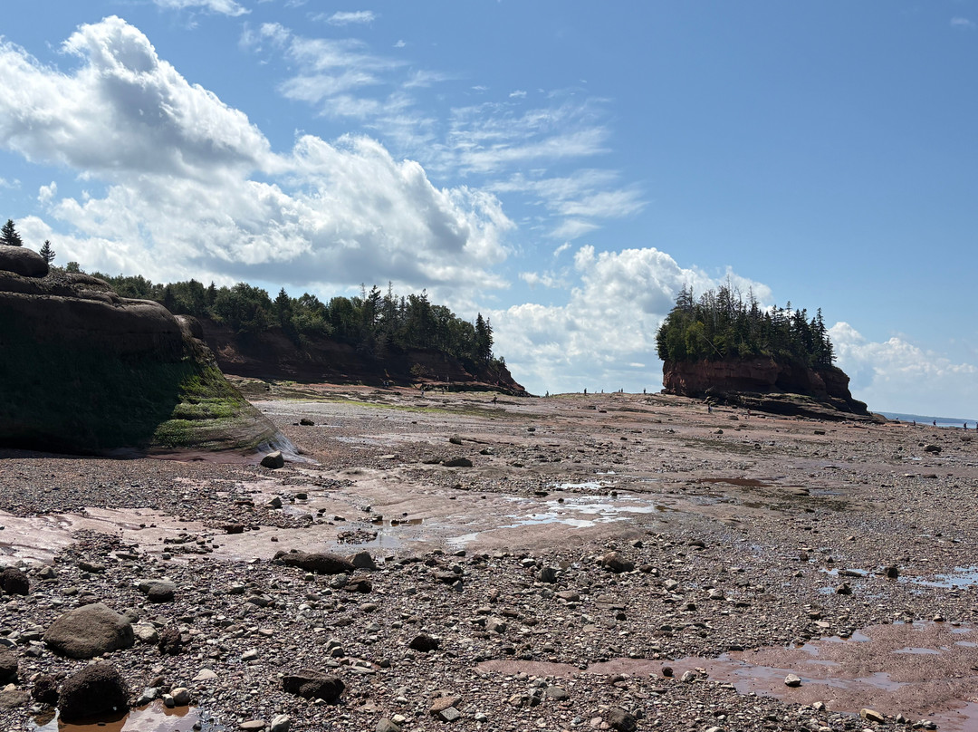 Burntcoat Head Park-Noel必去景点