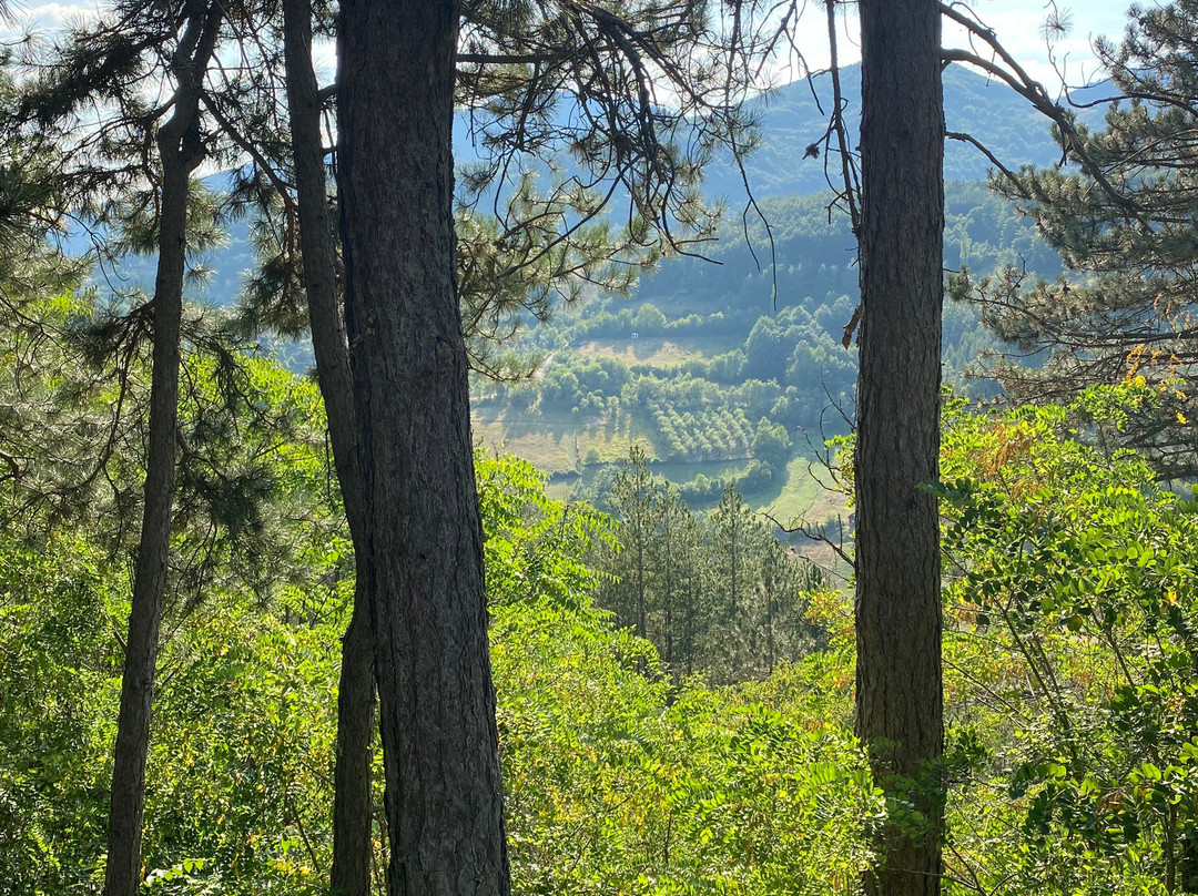 Nature Park Mokra Gora-Mokra Gora必去景点