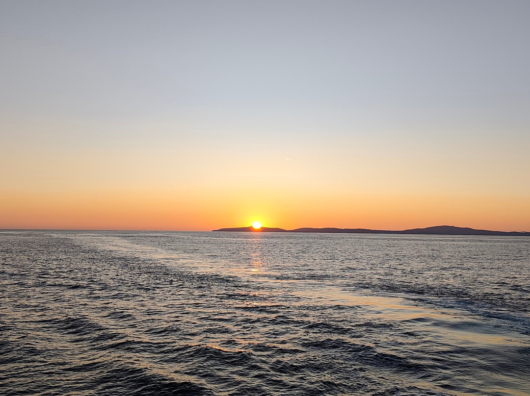 Cape Clear Island - Cape Clear Ferries-Baltimore必去景点