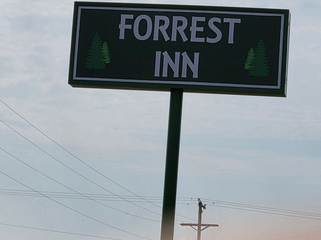 Forrest Inn主图