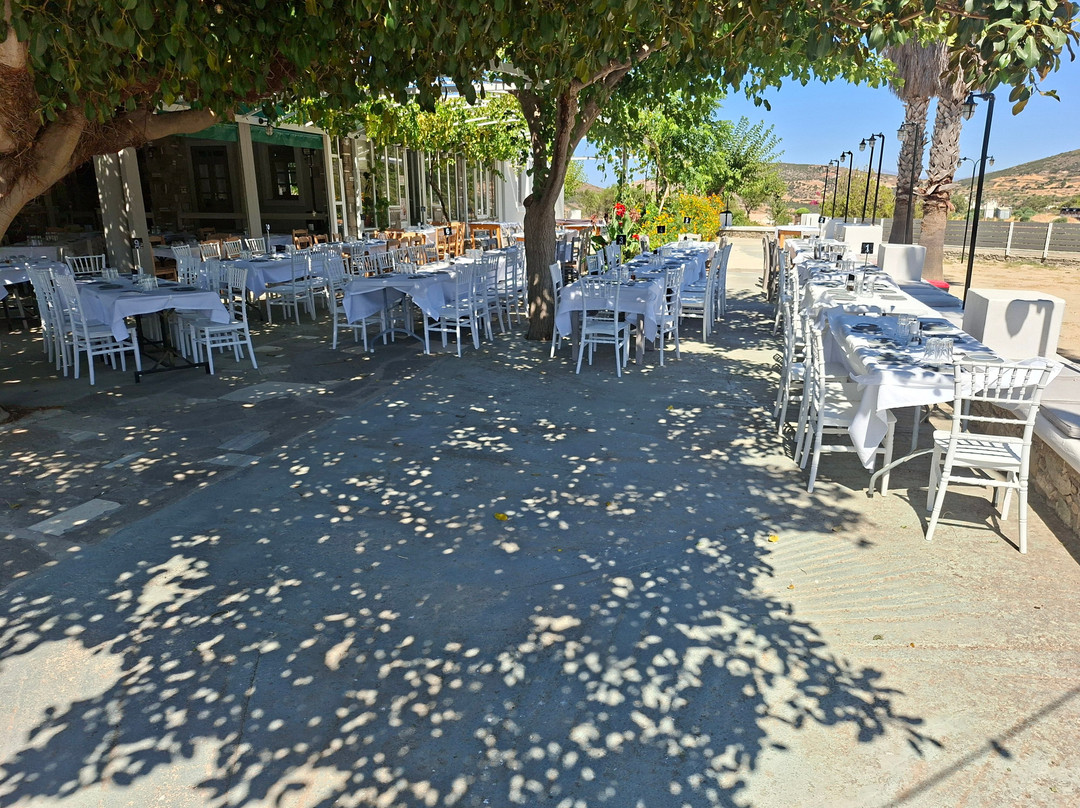 Traditional Tavern "Marathi" Paraskevas&Zoi