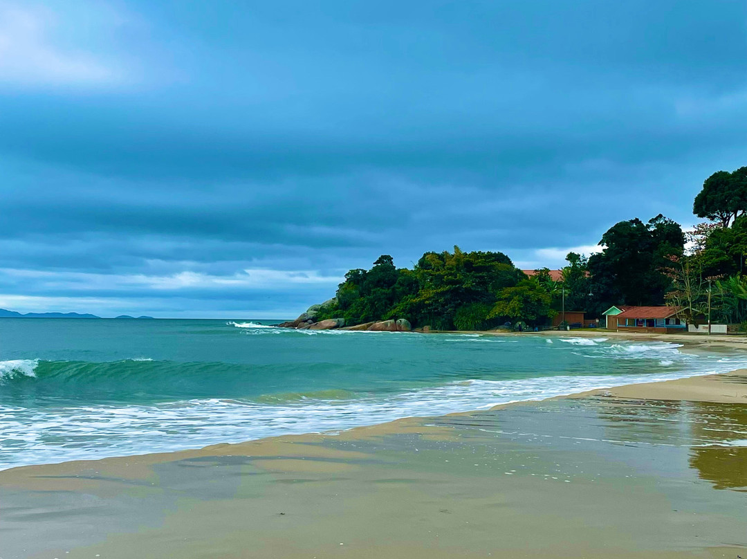 Praia do Forte-弗洛里亚诺波利斯必去景点