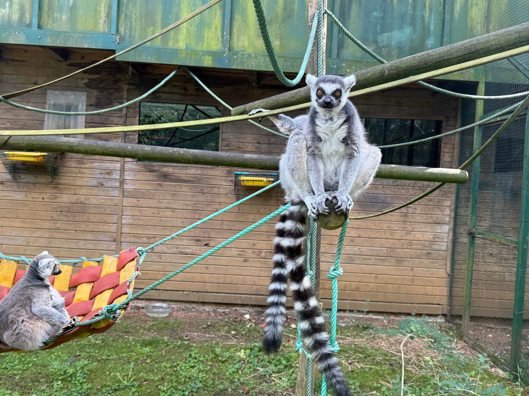Zoo De Santillana Del Mar-海边的散提亚拿必去景点