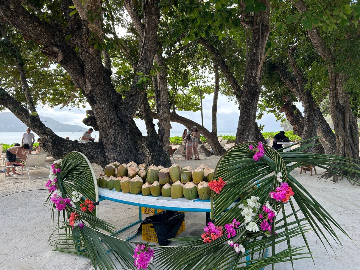 Club Med Seychelles-旅行者