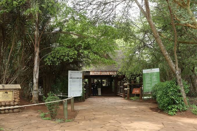Nairobi Animal Orphanage-肯尼亚山国家公园必去景点