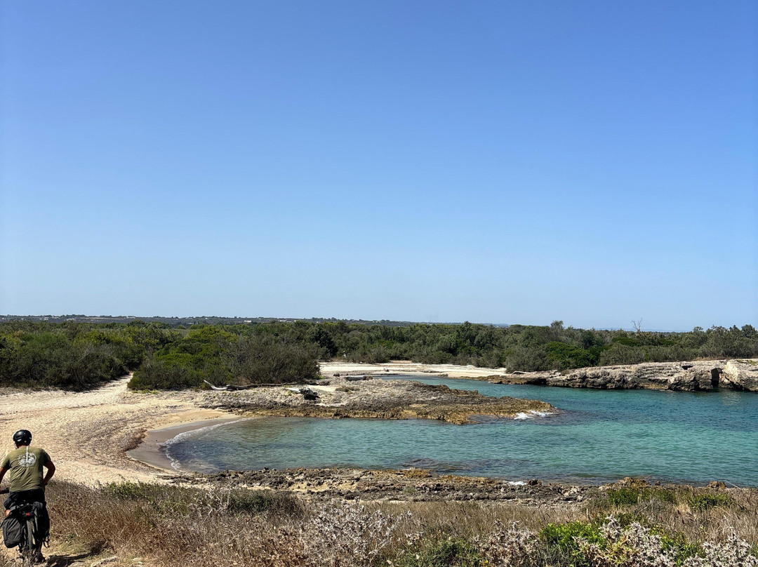 Area Marina Protetta Di Torre Guaceto-Carovigno必去景点