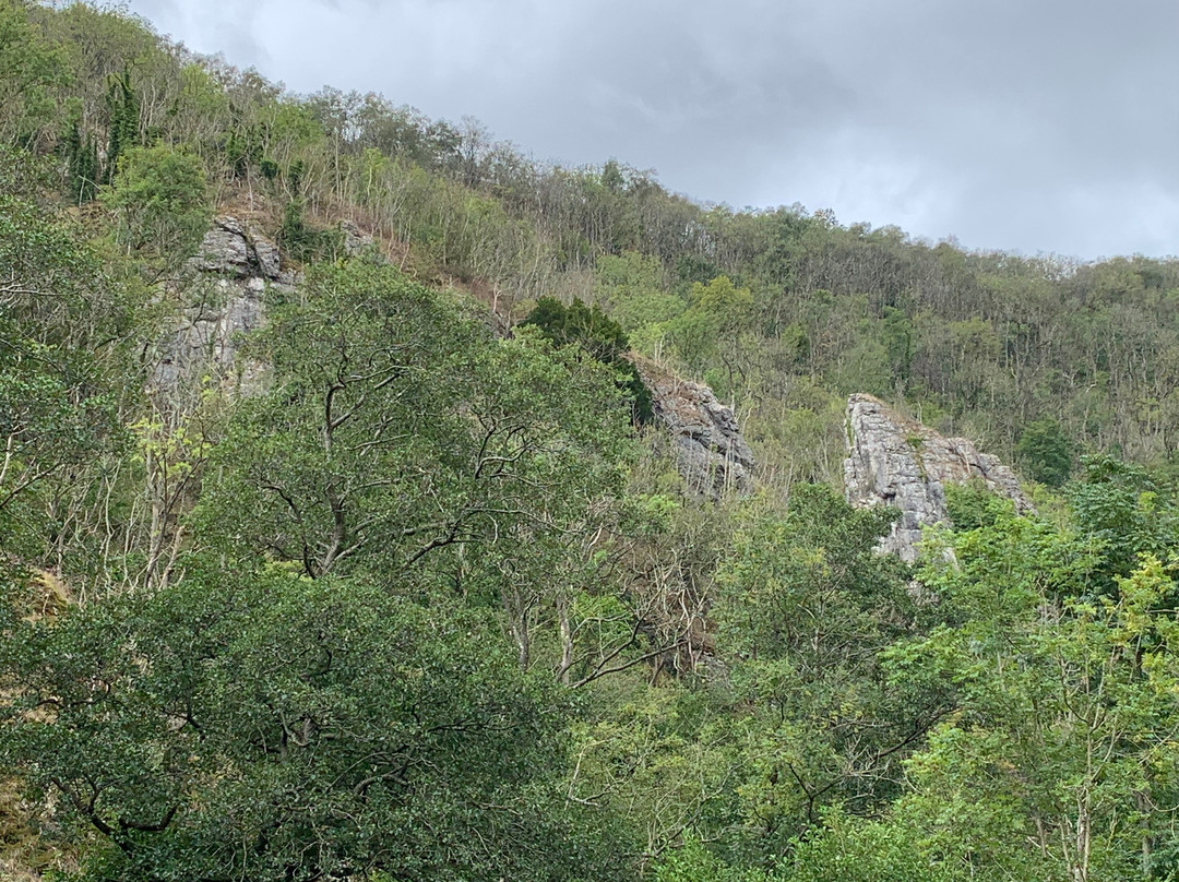 Dovedale-阿什伯恩必去景点