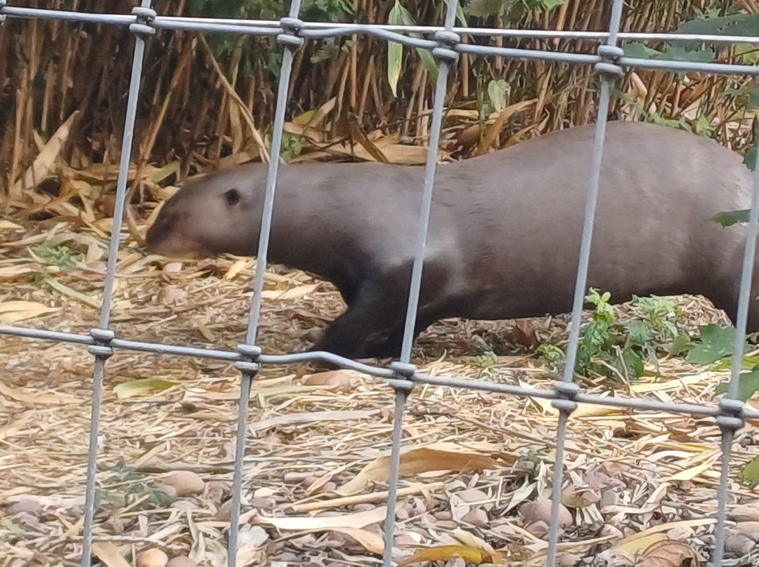 Yorkshire Wildlife Park-Auckley必去景点
