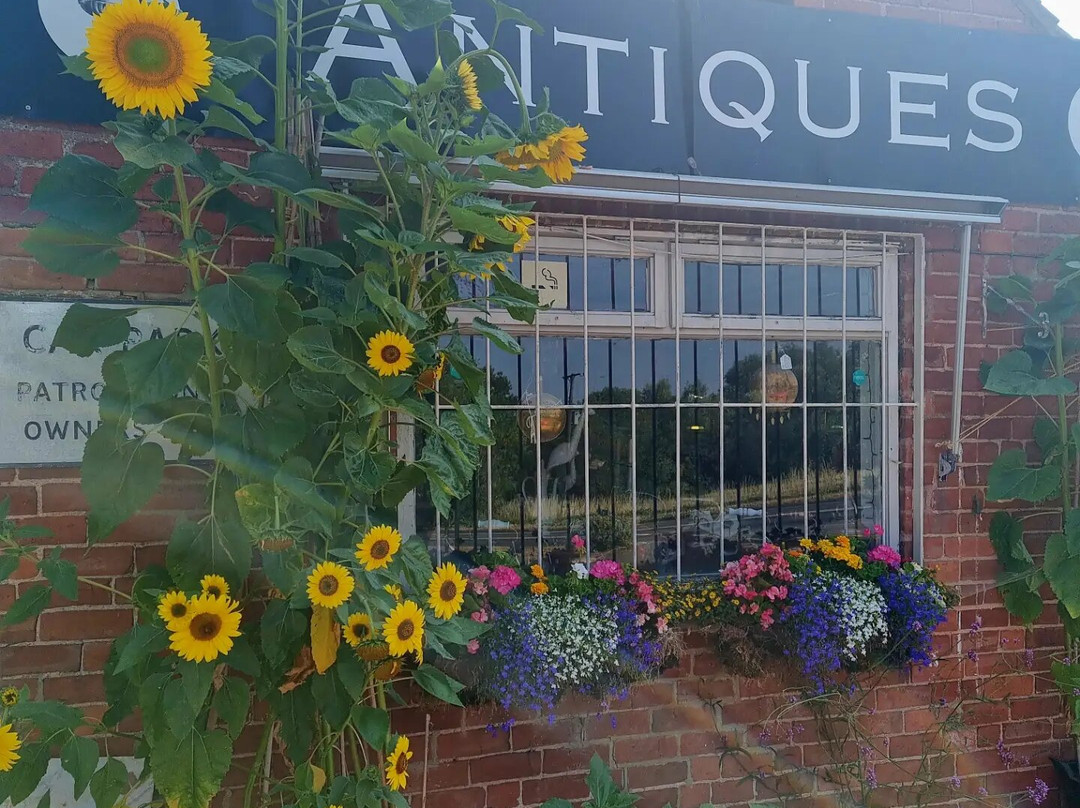Helianthus Emporium