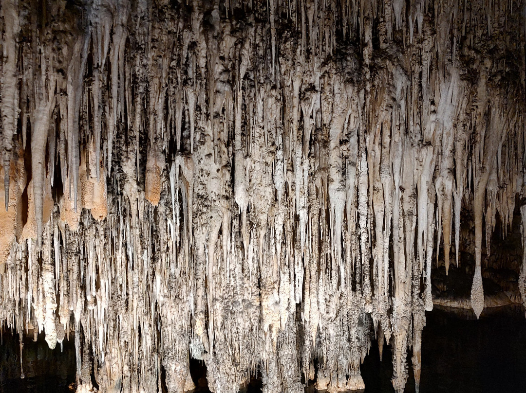 Cuevas del Drach-克里斯托港必去景点