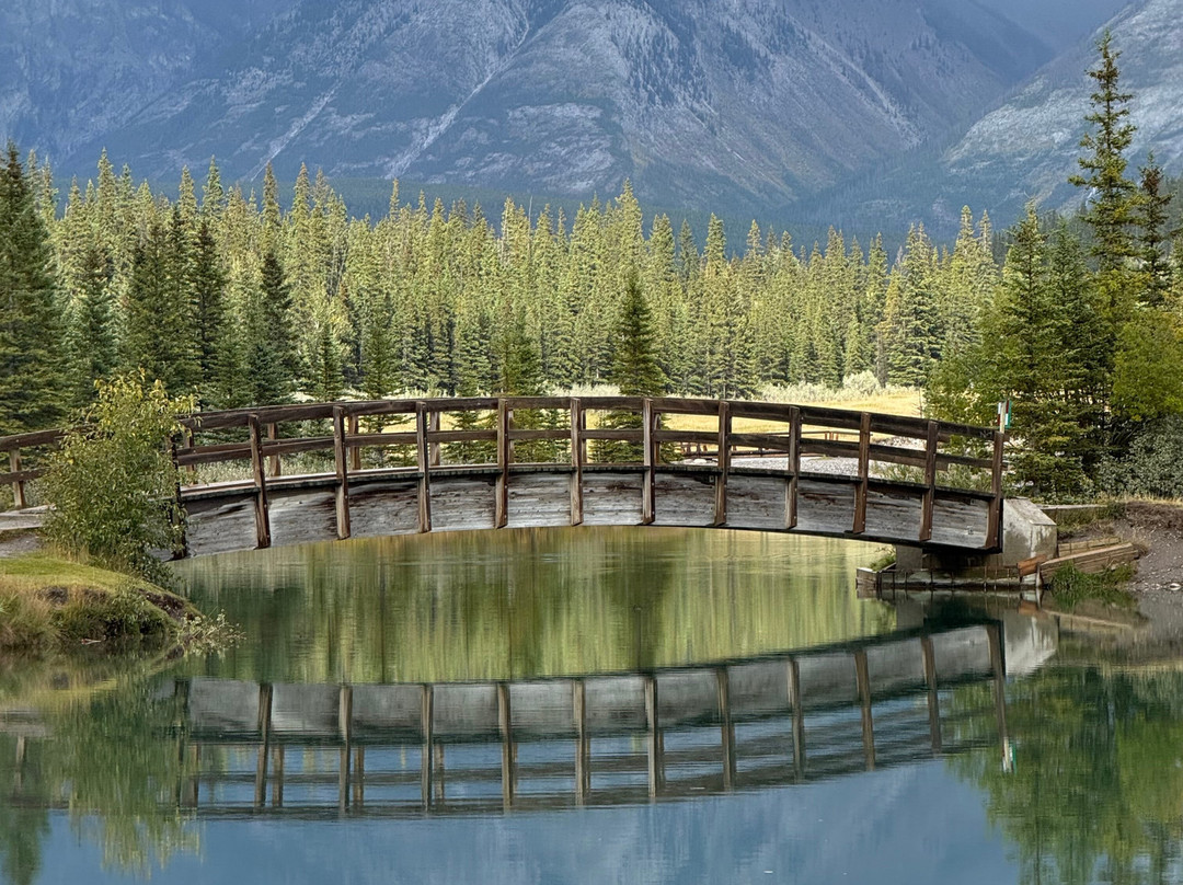 Minnewanka Loop / Lake Johnson-班夫国家公园必去景点