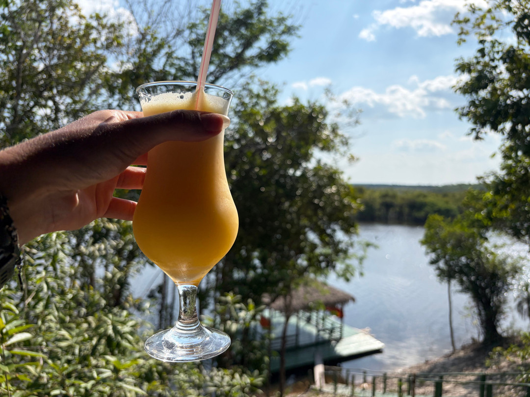 Amazon Antonio Jungle Tours-玛瑙斯必去景点