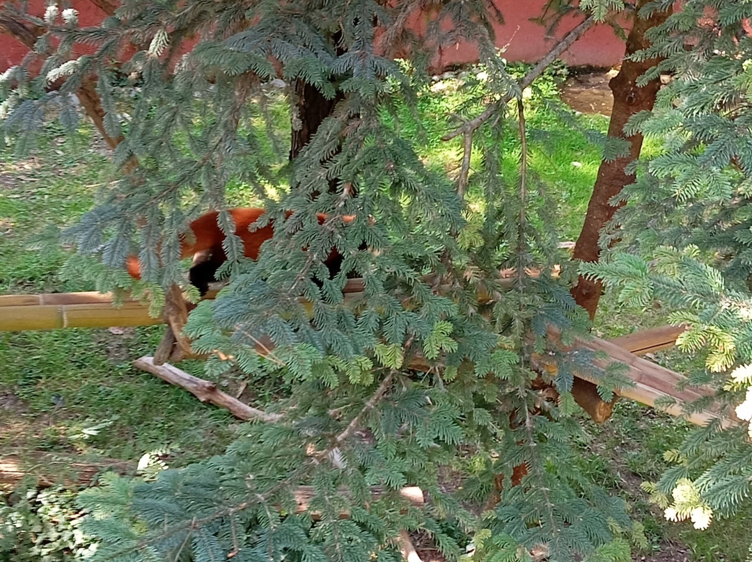 Parco Natura Viva-布索伦戈必去景点