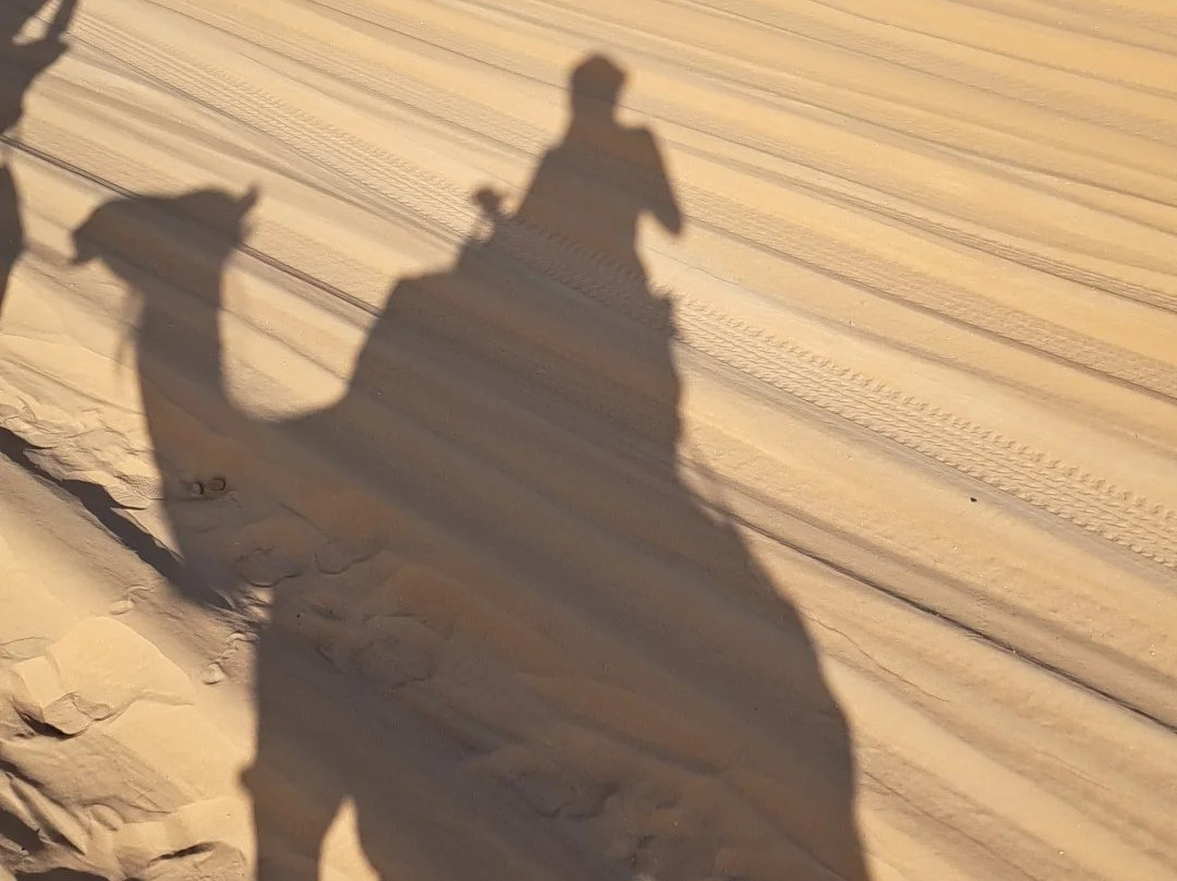 Desierto Sahara Trips-马拉喀什必去景点