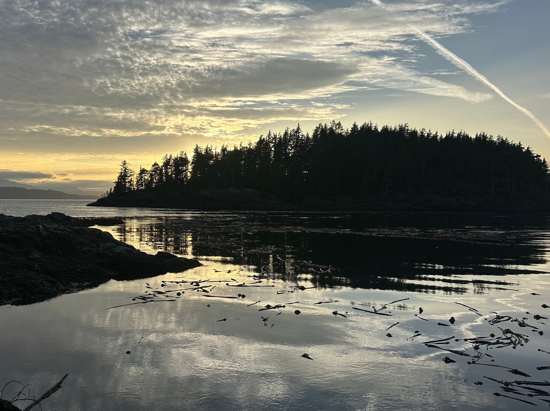 Kingfisher Wilderness Adventures-Port McNeill必去景点