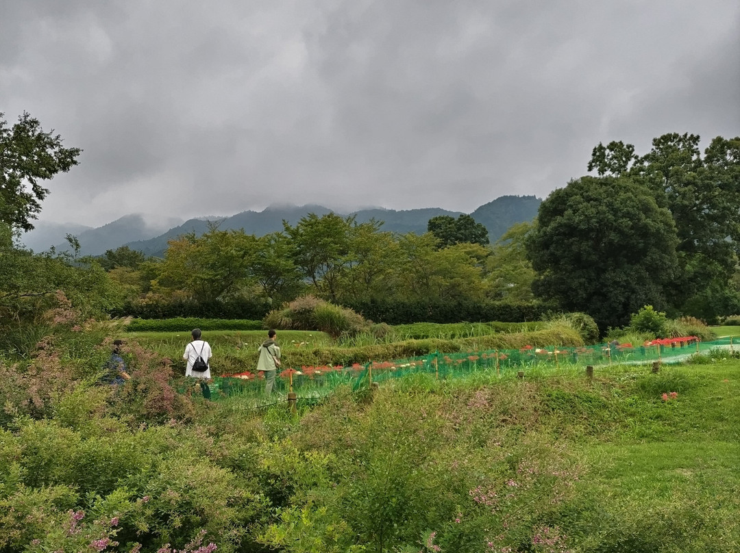 石舞台古坟-明日香村必去景点