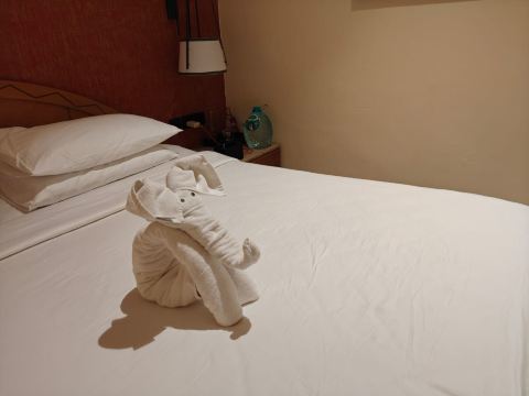 马马拉普拉姆寺湾丽笙度假酒店-旅行者