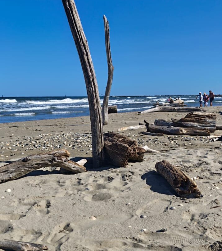Spiaggia Libera Lido di Classe-Lido di Classe必去景点