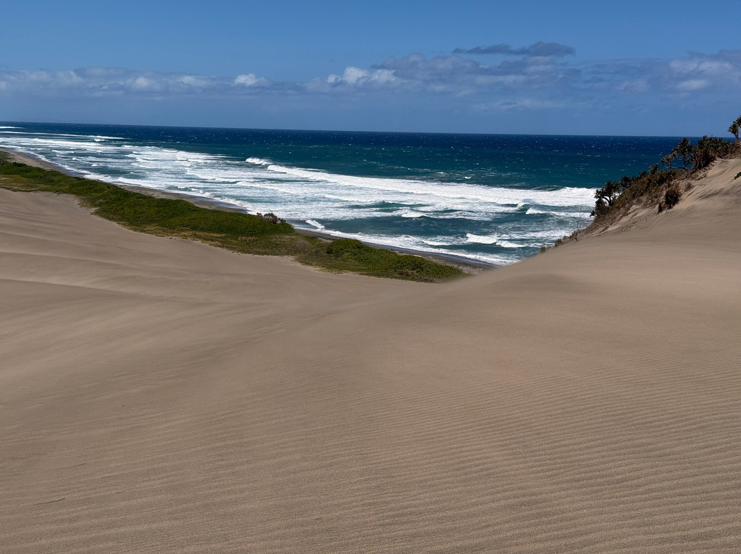 Sigatoka Sand Dunes National Park-辛加东卡必去景点
