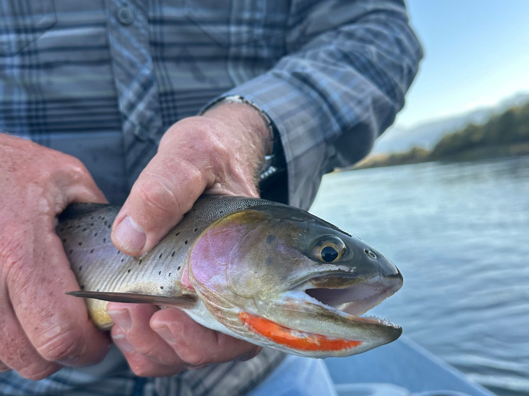 Montana Fly Fishing Guides-利文斯顿必去景点