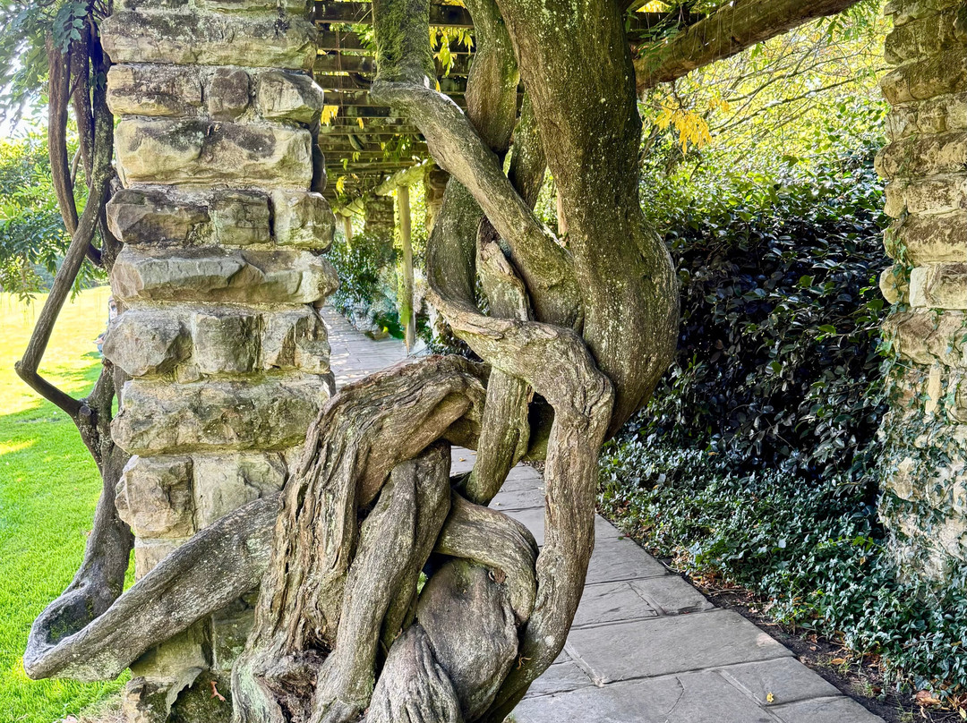 Nymans Gardens and House-Haywards Heath必去景点
